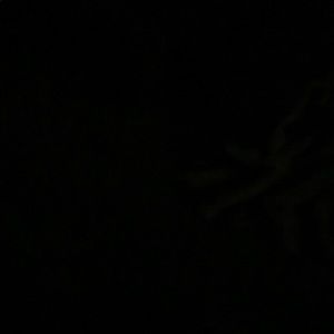 Meet your Posher, Brett